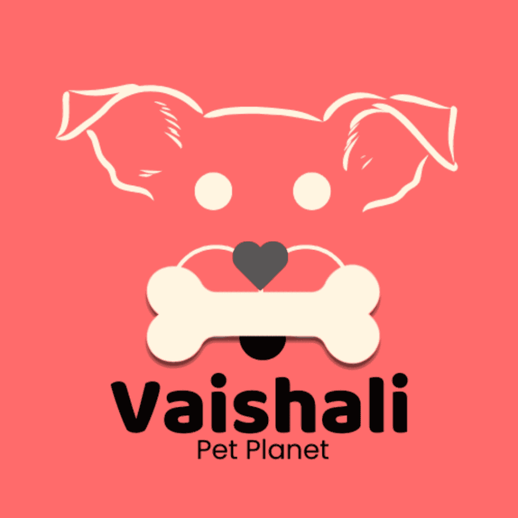 Best Digital Marketer in Nashik City